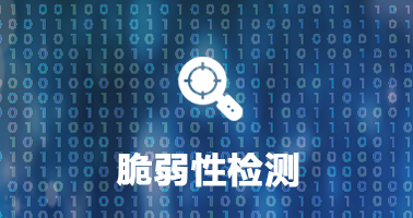 脆弱性检测