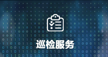 巡检服务